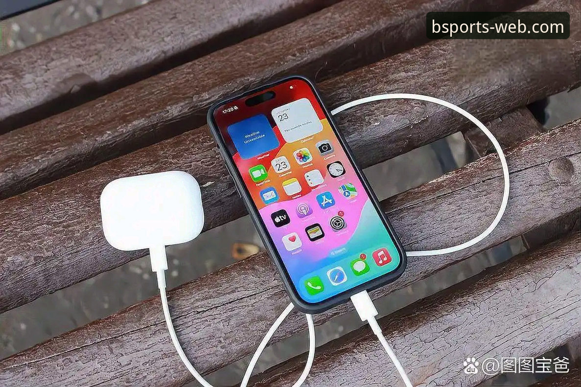 B体育手机官网iOS版深度评测：官方安全通道登录体验全解析